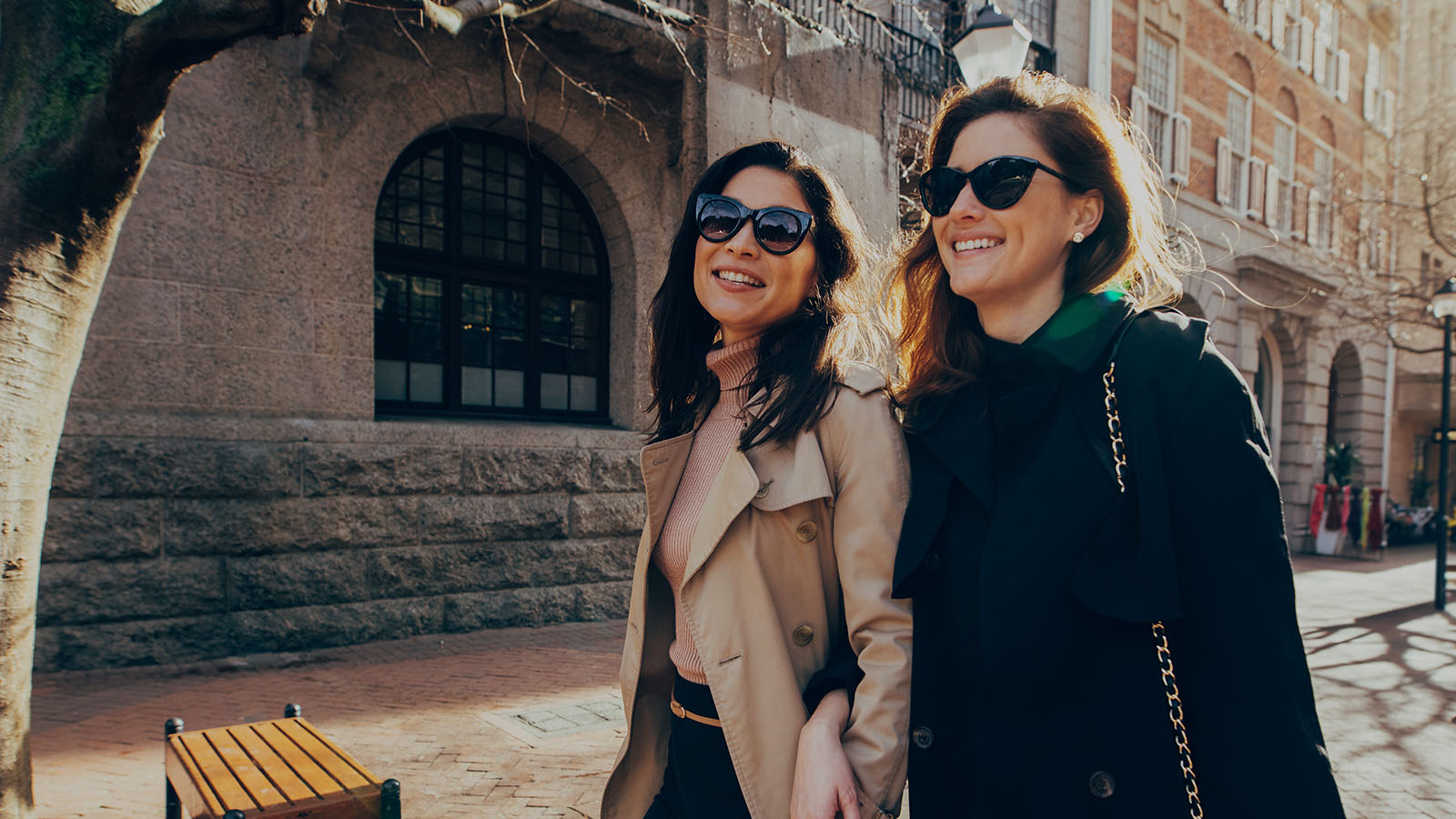 Two ladies shopping